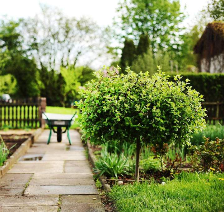 Jardinage Alès