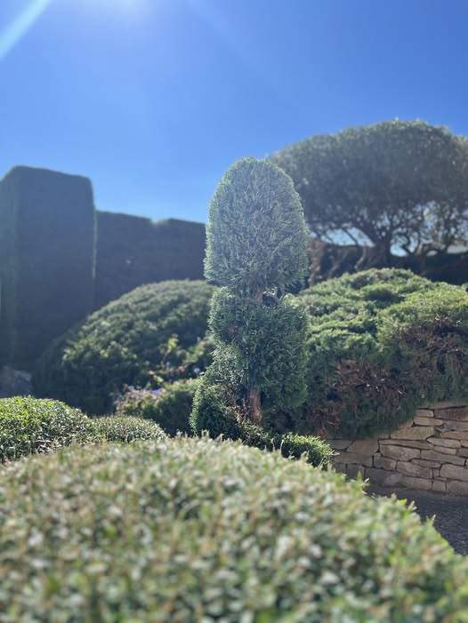 634414454 122168173082770141 4496213307945020508 n